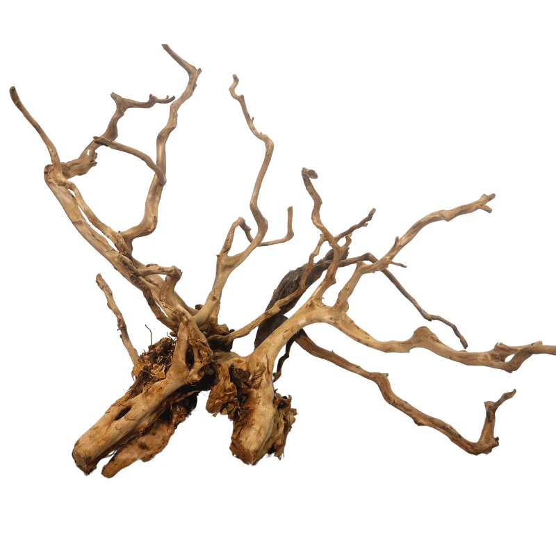 ANS Sumatra Driftwood (various size) - Image 11