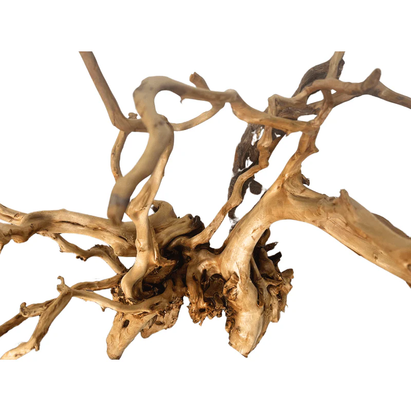 ANS Sumatra Driftwood (various size) - Image 12