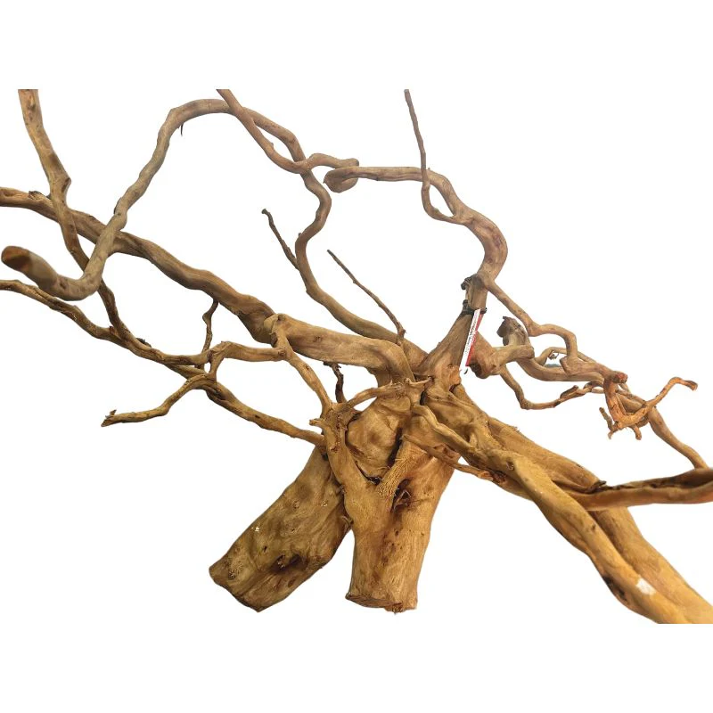 ANS Sumatra Driftwood (various size) - Image 14