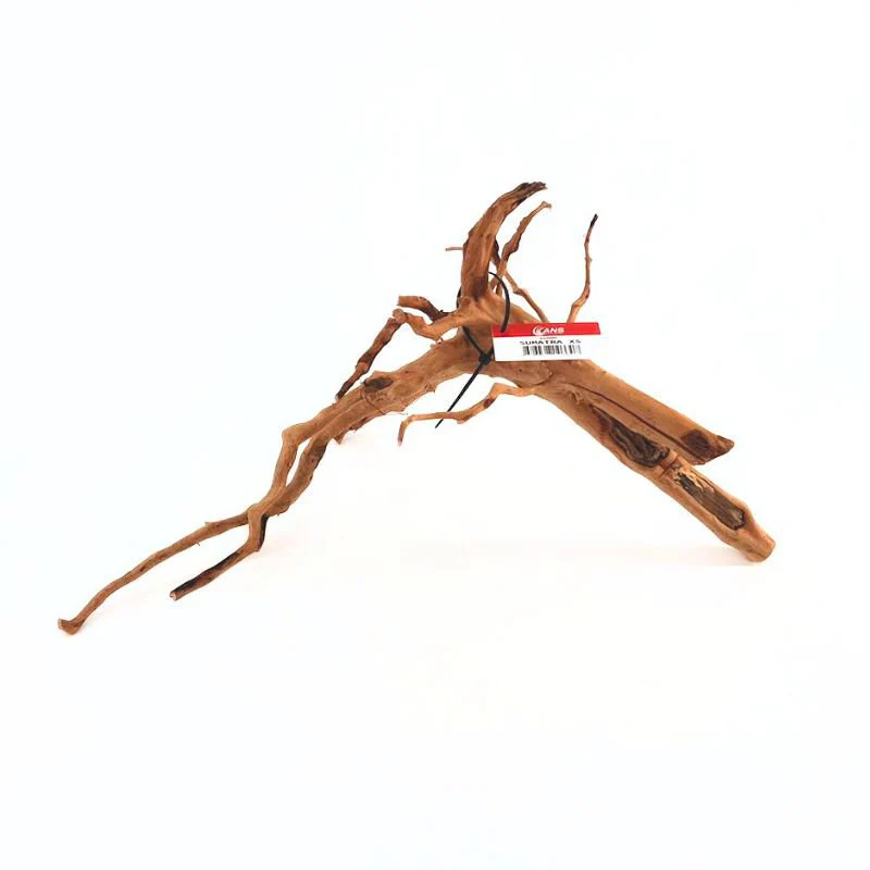 ANS Sumatra Driftwood (various size) - Image 2