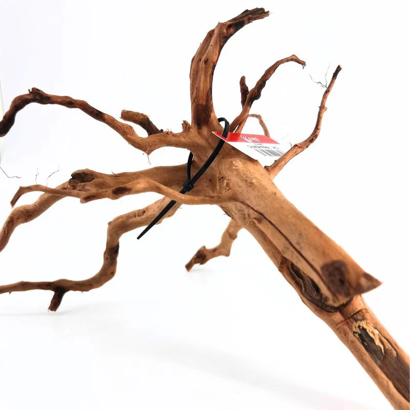 ANS Sumatra Driftwood (various size) - Image 3