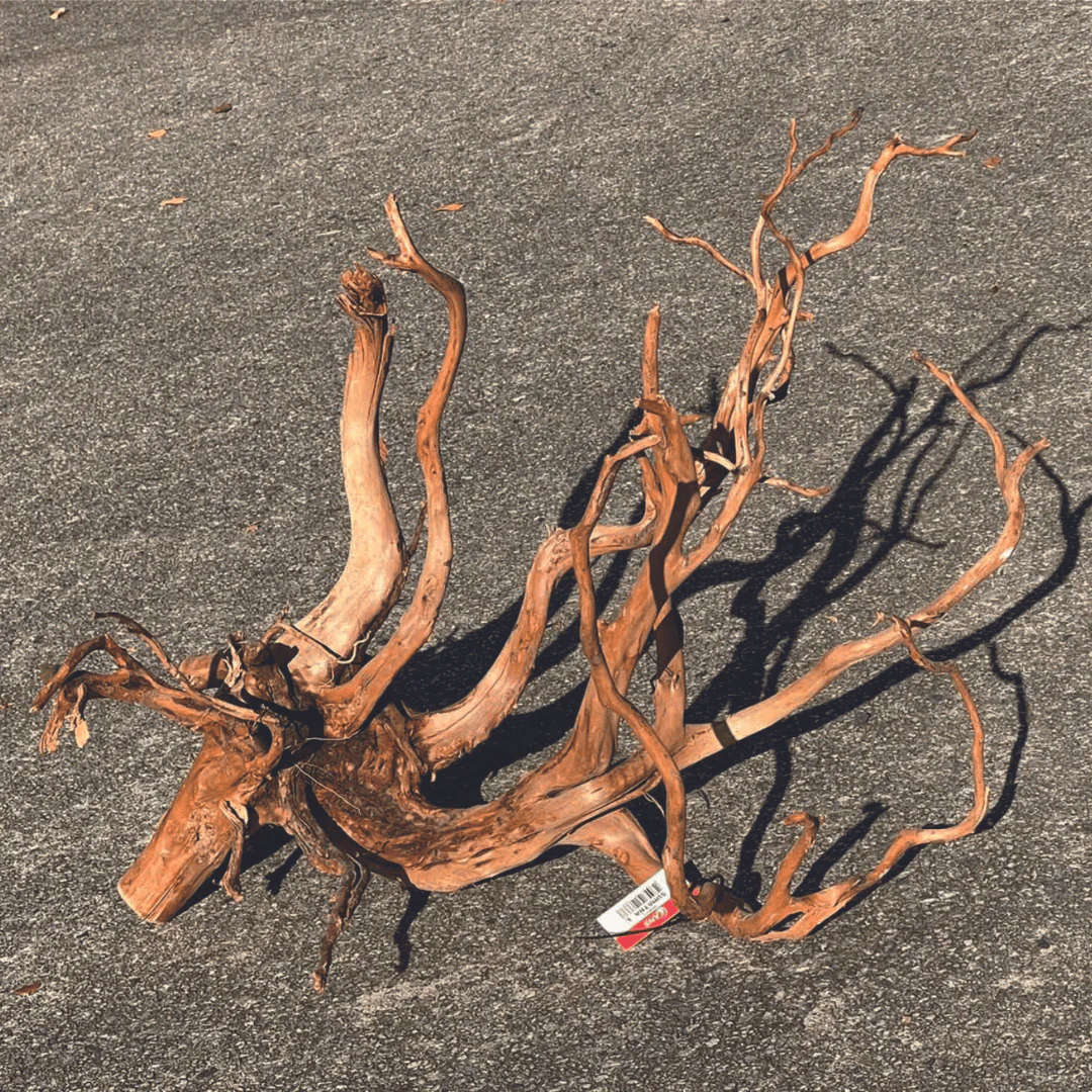 ANS Sumatra Driftwood (various size) - Image 9