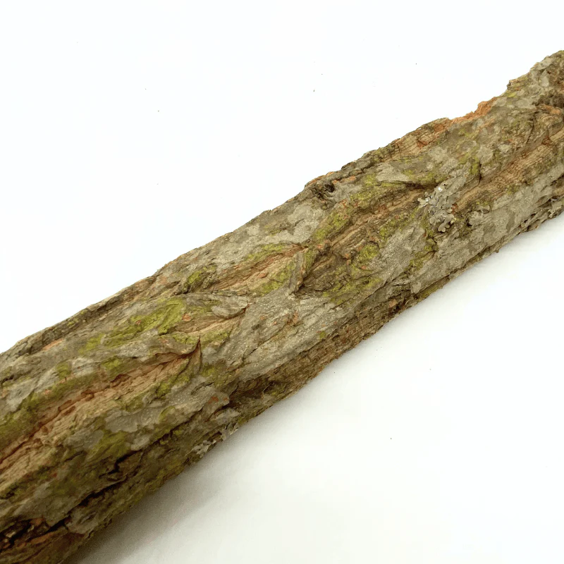 ANS Terra Bark "Cone" (1kg pack) - Image 2