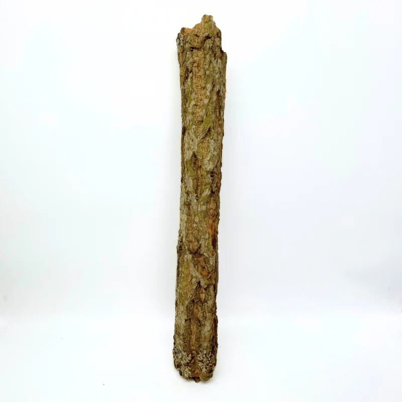 ANS Terra Bark "Cone" (1kg pack) - Image 4