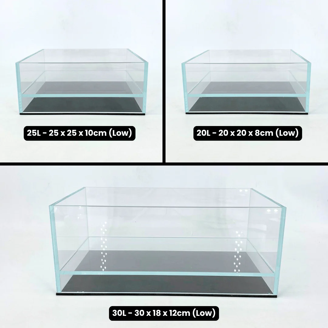 ANS Terracube (Various Size) - Image 3