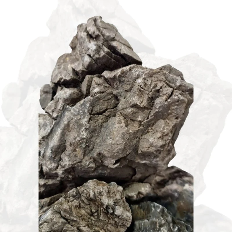 ANS Turly Rocks 20kg Box (S , M , L) - Image 5
