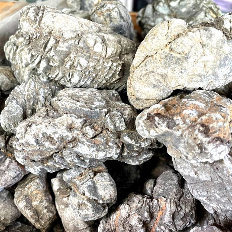 ANS Turly Rocks 20kg Box (S , M , L) - Image 7