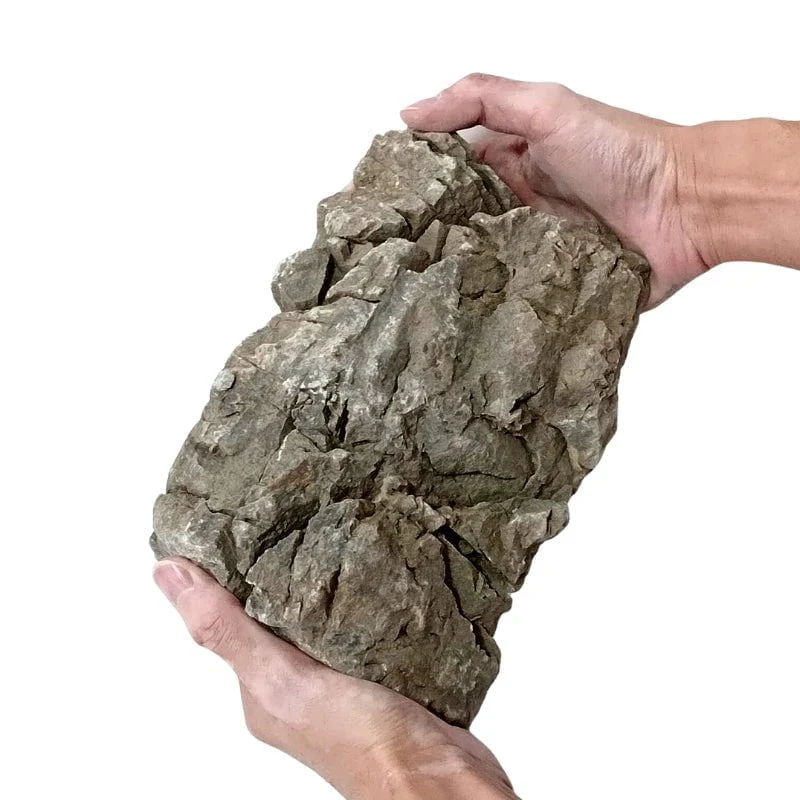 ANS Turly Rocks 20kg Box (S , M , L) - Image 9