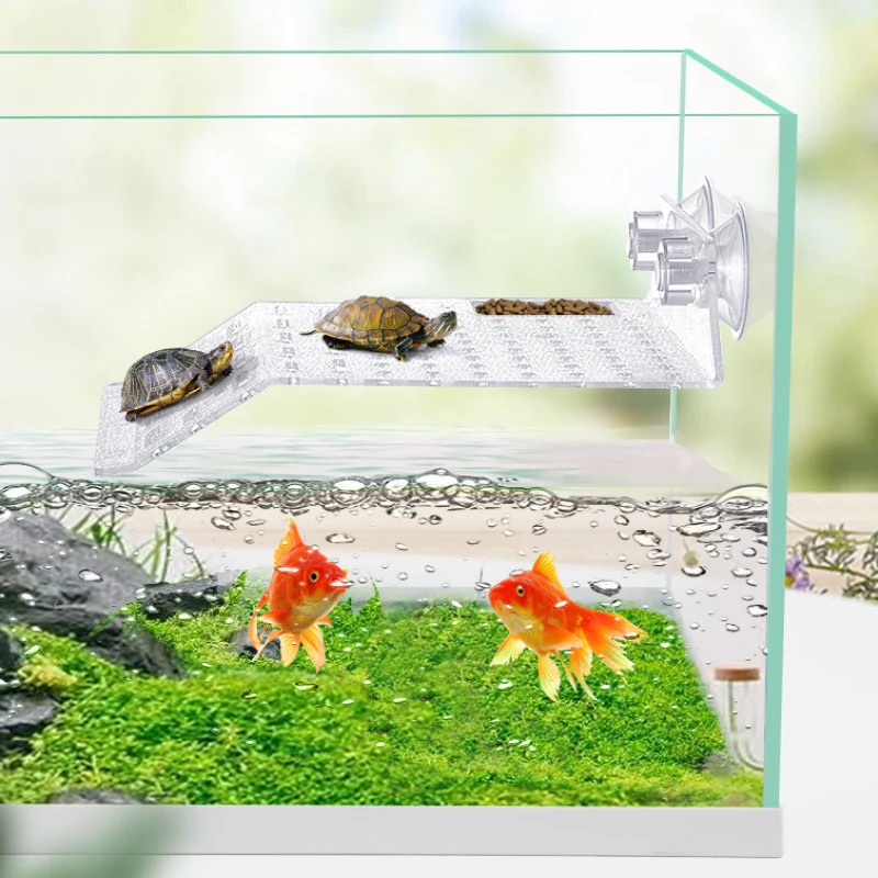 ANS Turtle Island - S/M/L - Image 7