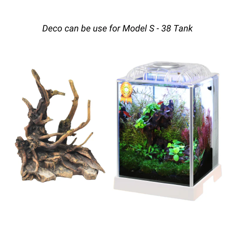 ANUBIAS S-38-2 Decoration - Image 2
