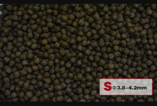 AquaMaster Koi Colour Enhancer (1kg/5kg) with natto probiotics - Image 4