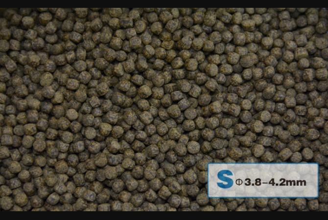 AquaMaster Koi Growth (1kg/5kg) with natto probiotics - Image 4