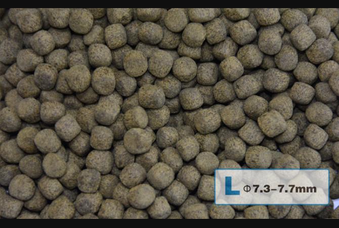 AquaMaster Koi Growth (1kg/5kg) with natto probiotics - Image 5