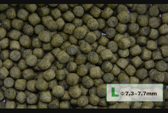 AquaMaster Koi Staple (1kg/5kg) with natto probiotics - Image 4