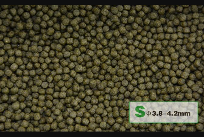 AquaMaster Koi Staple (1kg/5kg) with natto probiotics - Image 5