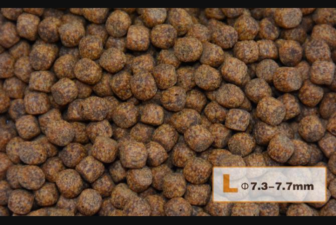 AquaMaster Koi Wheat Germ (1kg/5kg) with natto probiotics - Image 4