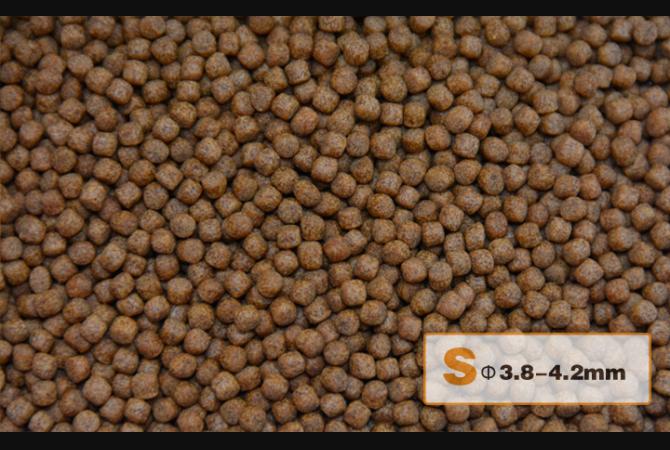 AquaMaster Koi Wheat Germ (1kg/5kg) with natto probiotics - Image 5