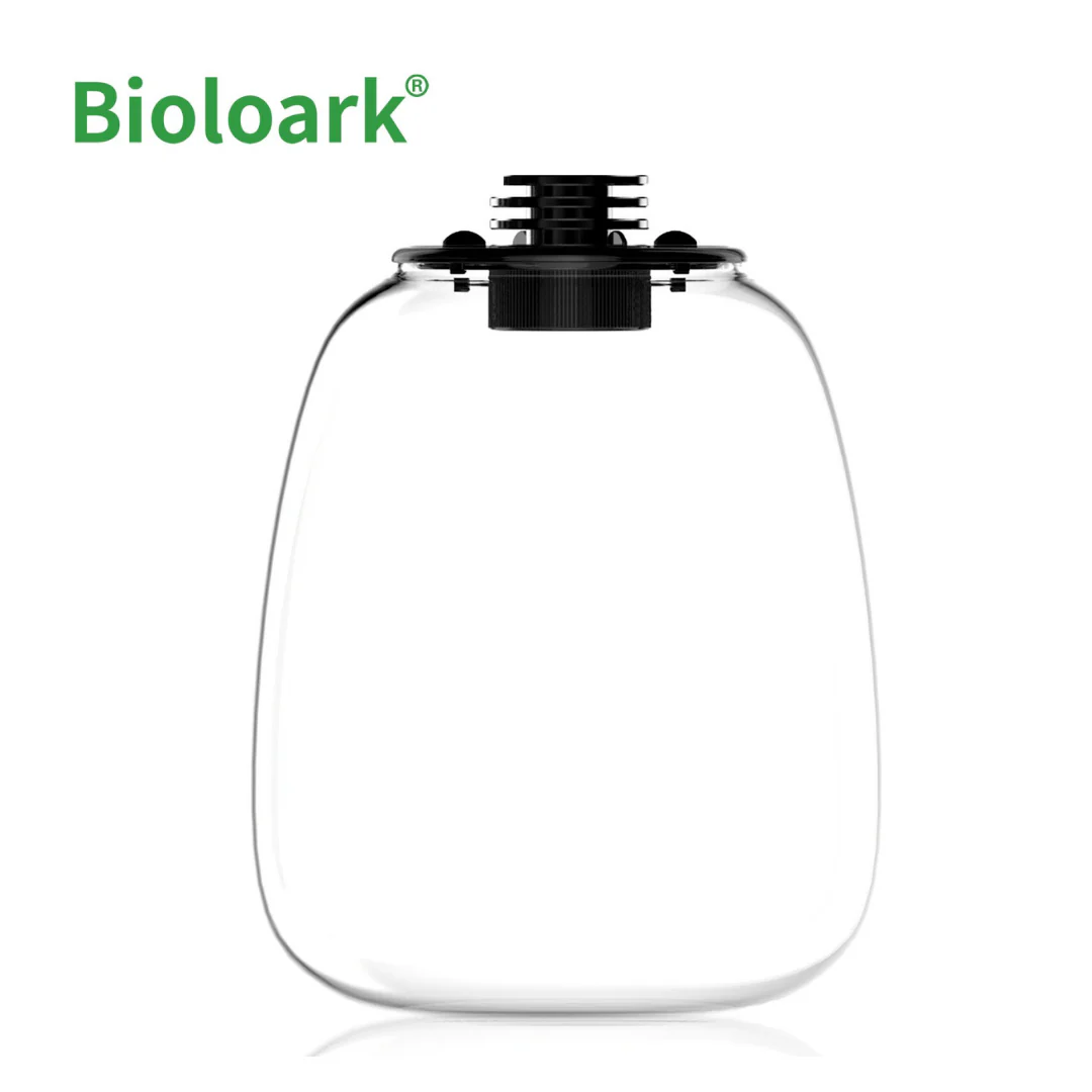 BIOLOARK - Bio Bottle Terrarium (QD-172/ QD-205) - Decoration Plant - Image 3