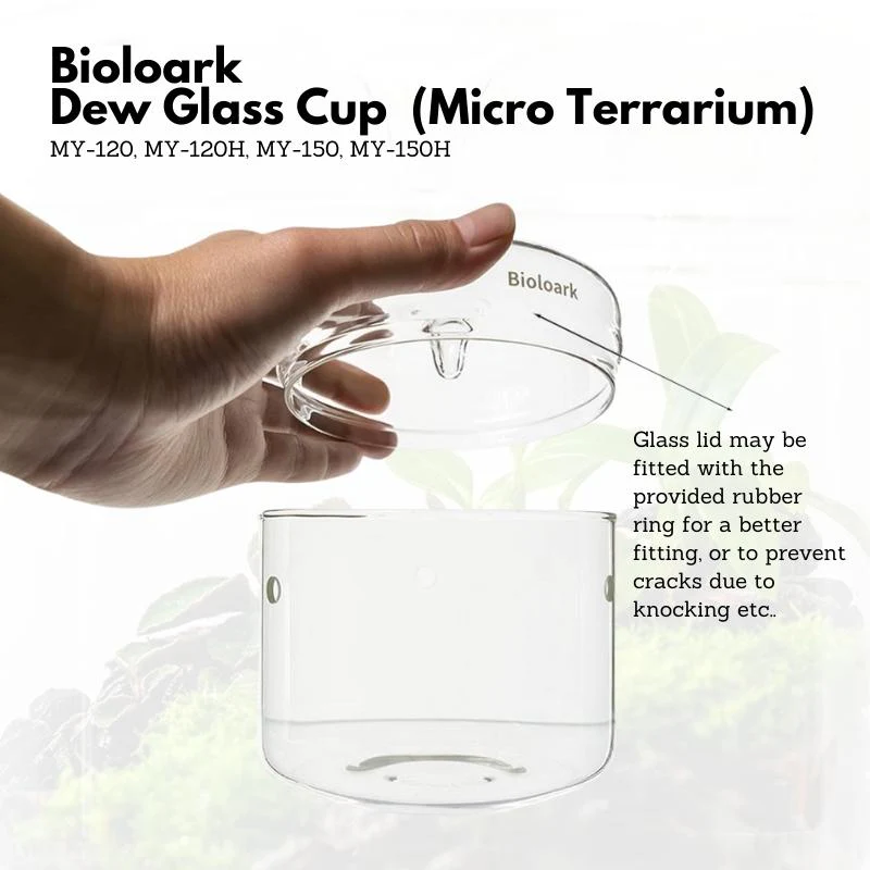 BIOLOARK Dew Glass Cup (Micro Terrarium) MY Series - Image 12