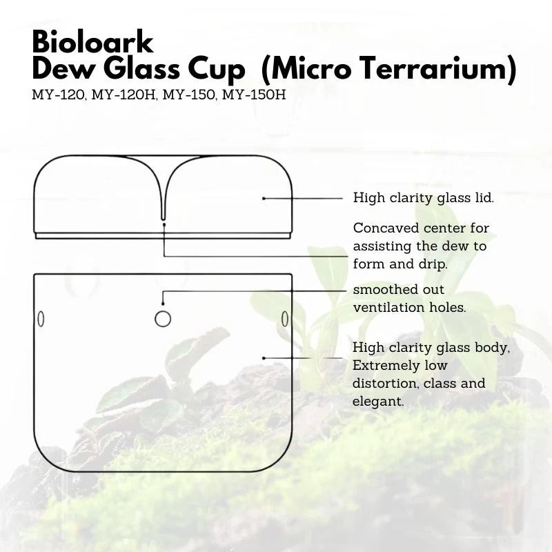 BIOLOARK Dew Glass Cup (Micro Terrarium) MY Series - Image 15