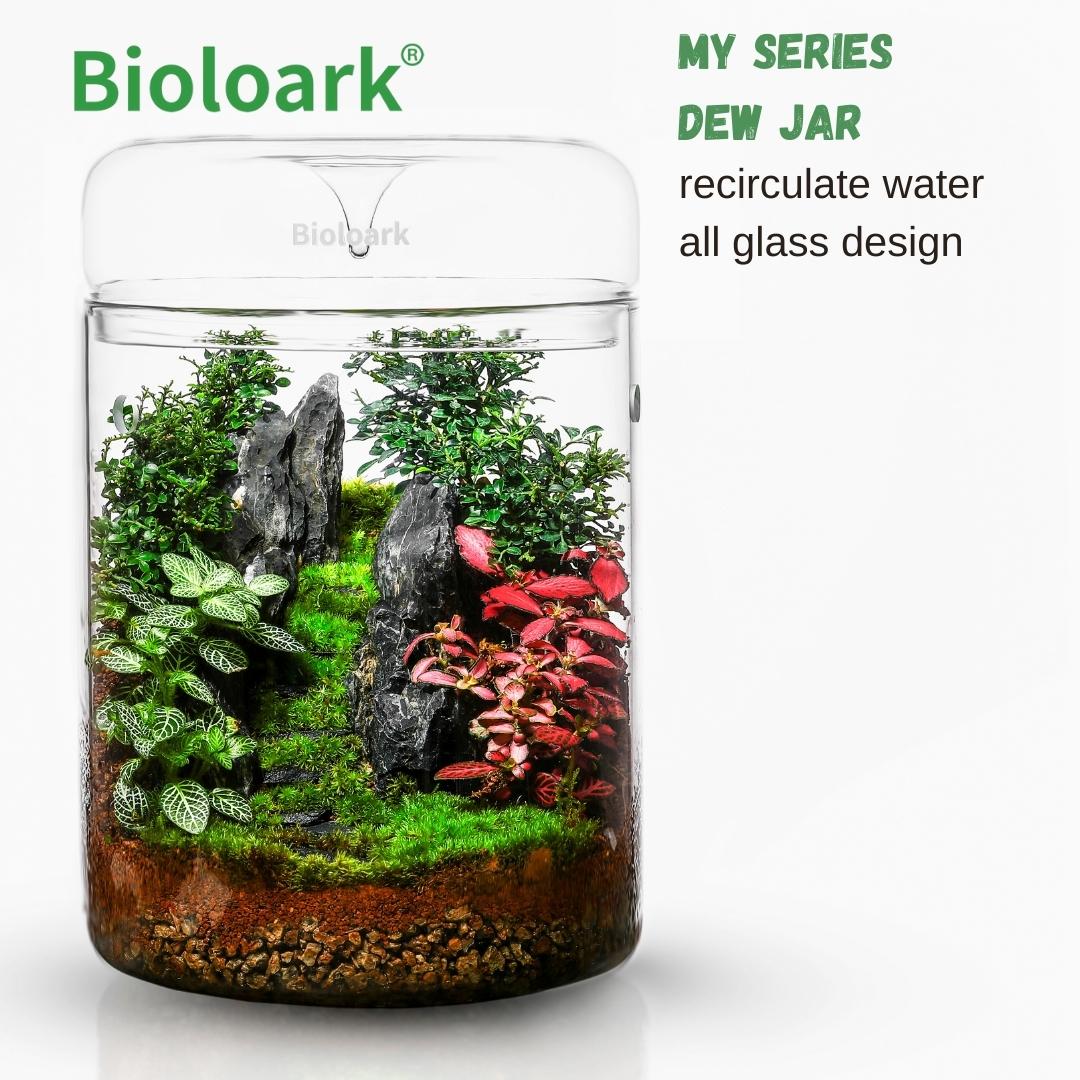 BIOLOARK Dew Glass Cup (Micro Terrarium) MY Series - Image 2