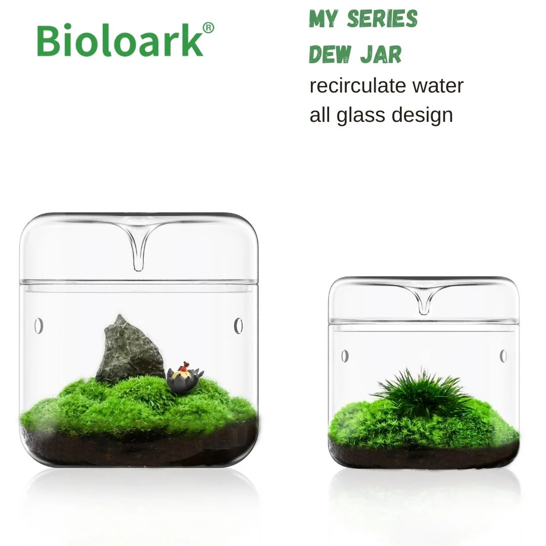 BIOLOARK Dew Glass Cup (Micro Terrarium) MY Series - Image 3