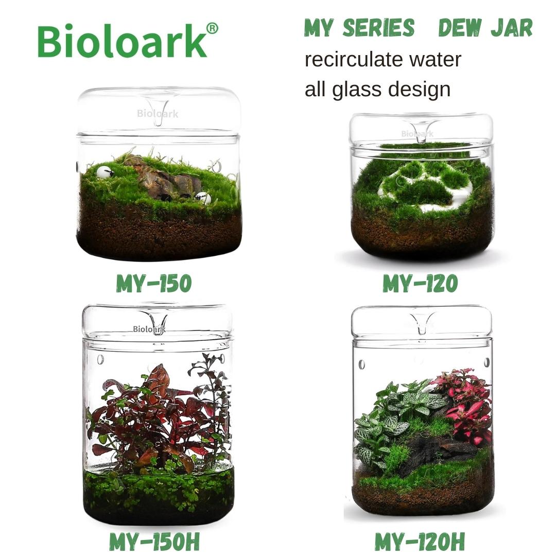BIOLOARK Dew Glass Cup (Micro Terrarium) MY Series - Image 4