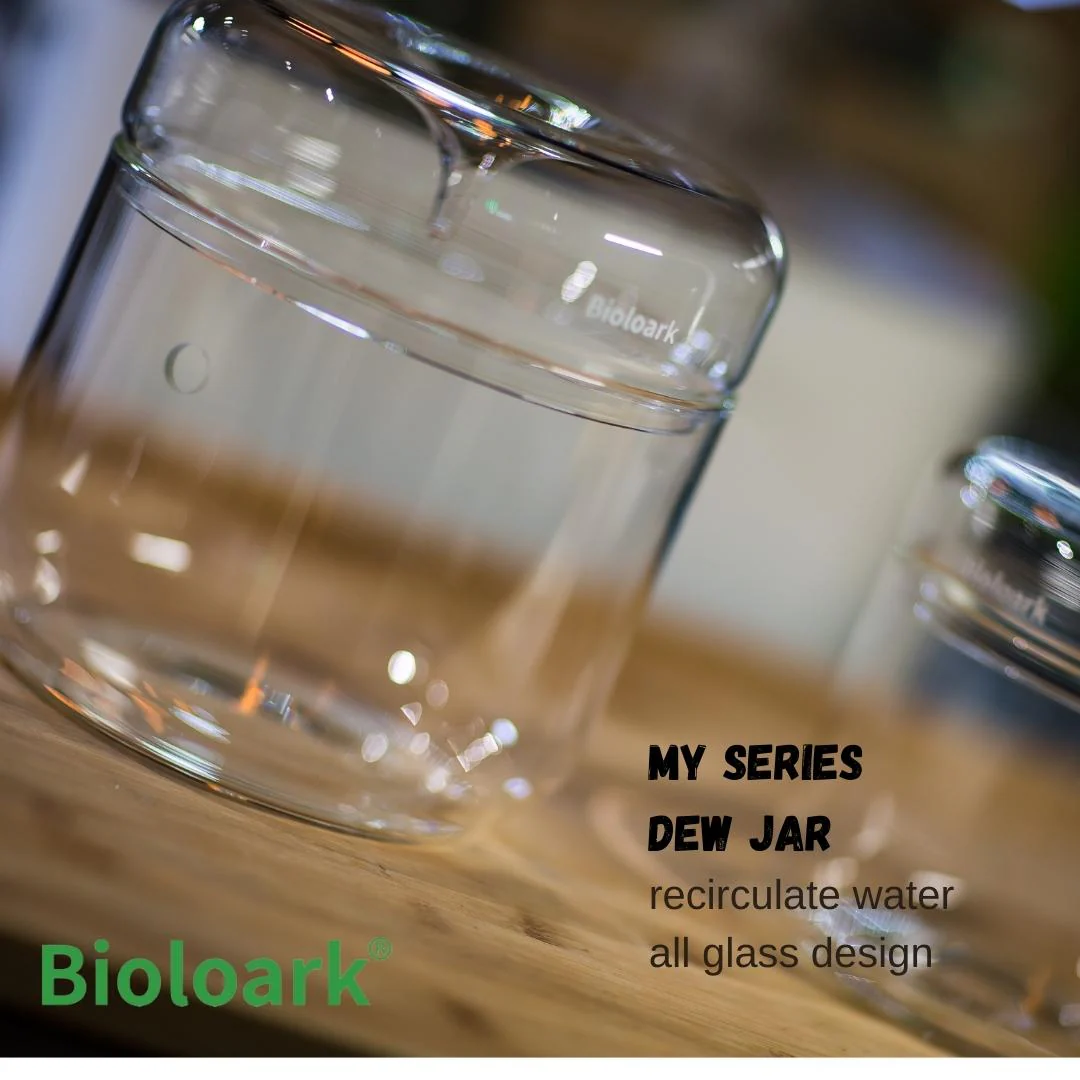 BIOLOARK Dew Glass Cup (Micro Terrarium) MY Series - Image 5