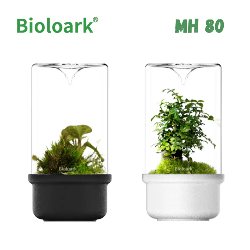 BIOLOARK - Bio Bottle Terrarium (MH-80/100/120) (Black/White) - Image 2