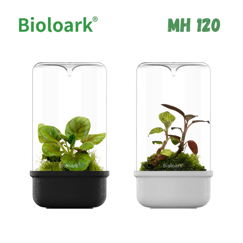 BIOLOARK - Bio Bottle Terrarium (MH-80/100/120) (Black/White) - Image 3