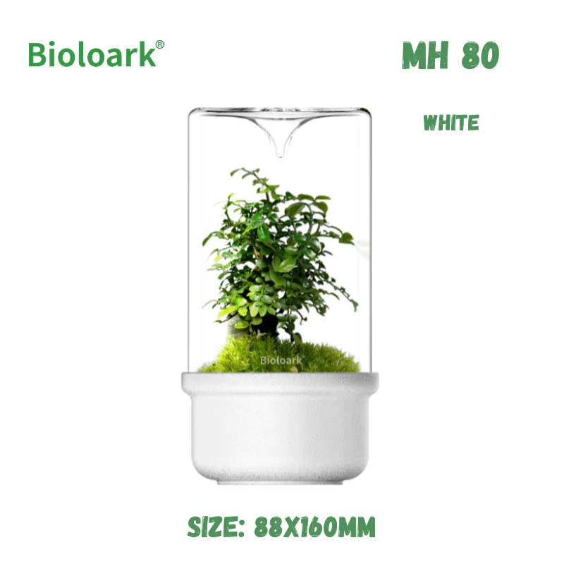 BIOLOARK - Bio Bottle Terrarium (MH-80/100/120) (Black/White) - Image 4