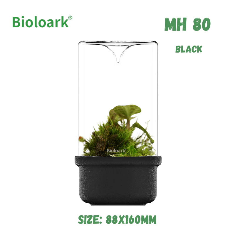 BIOLOARK - Bio Bottle Terrarium (MH-80/100/120) (Black/White) - Image 5