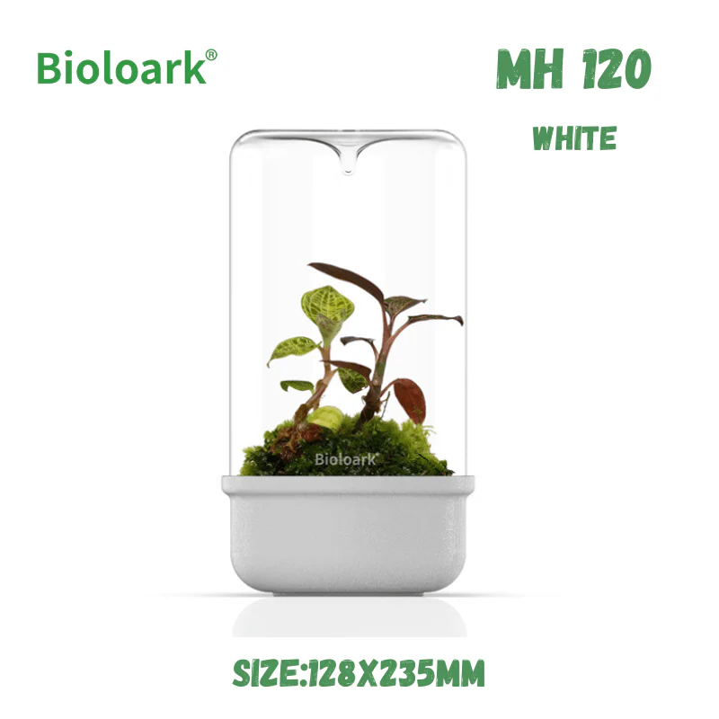 BIOLOARK - Bio Bottle Terrarium (MH-80/100/120) (Black/White) - Image 9