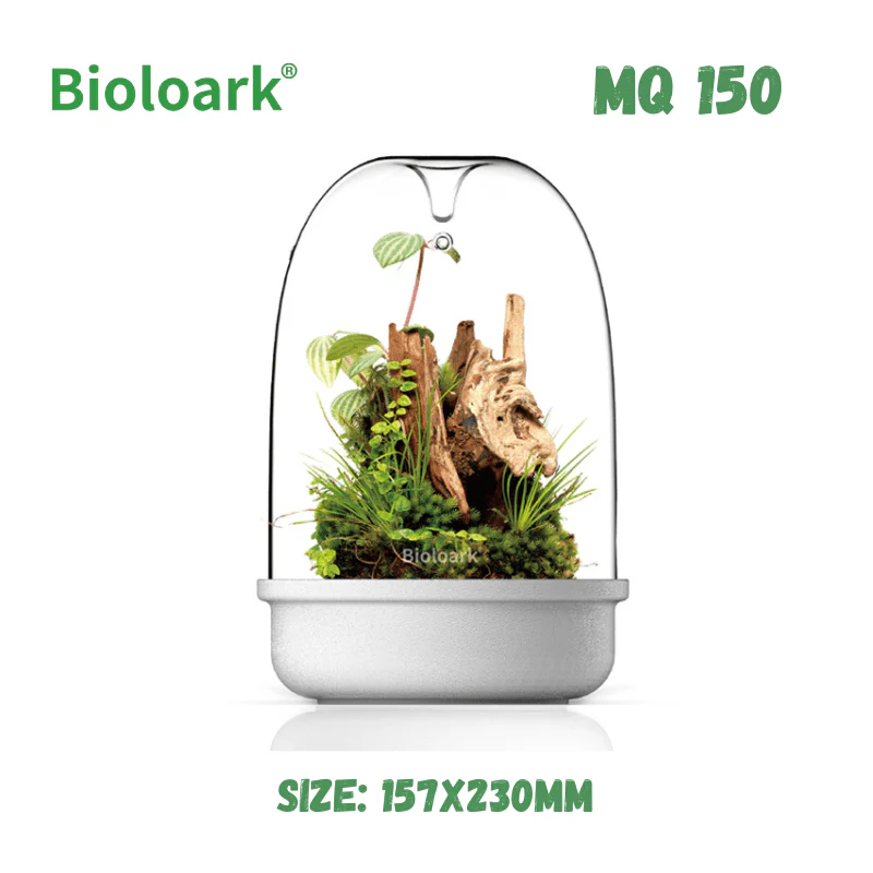 BIOLOARK - Bio Bottle Terrarium (MQ-150/175) (Black/White) - Image 2