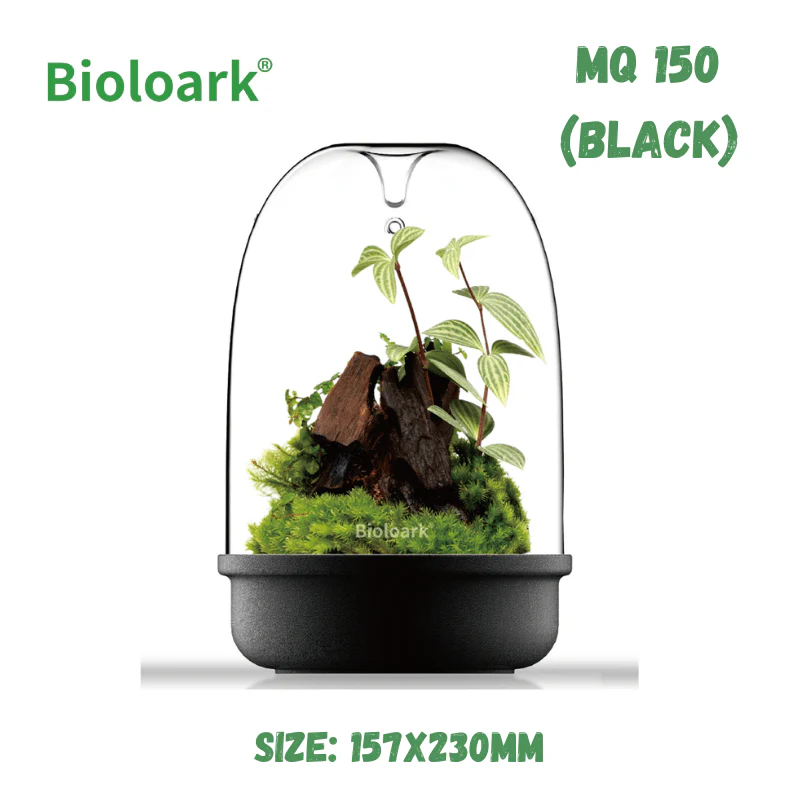 BIOLOARK - Bio Bottle Terrarium (MQ-150/175) (Black/White) - Image 3
