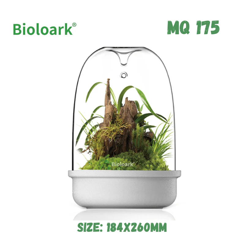BIOLOARK - Bio Bottle Terrarium (MQ-150/175) (Black/White) - Image 4