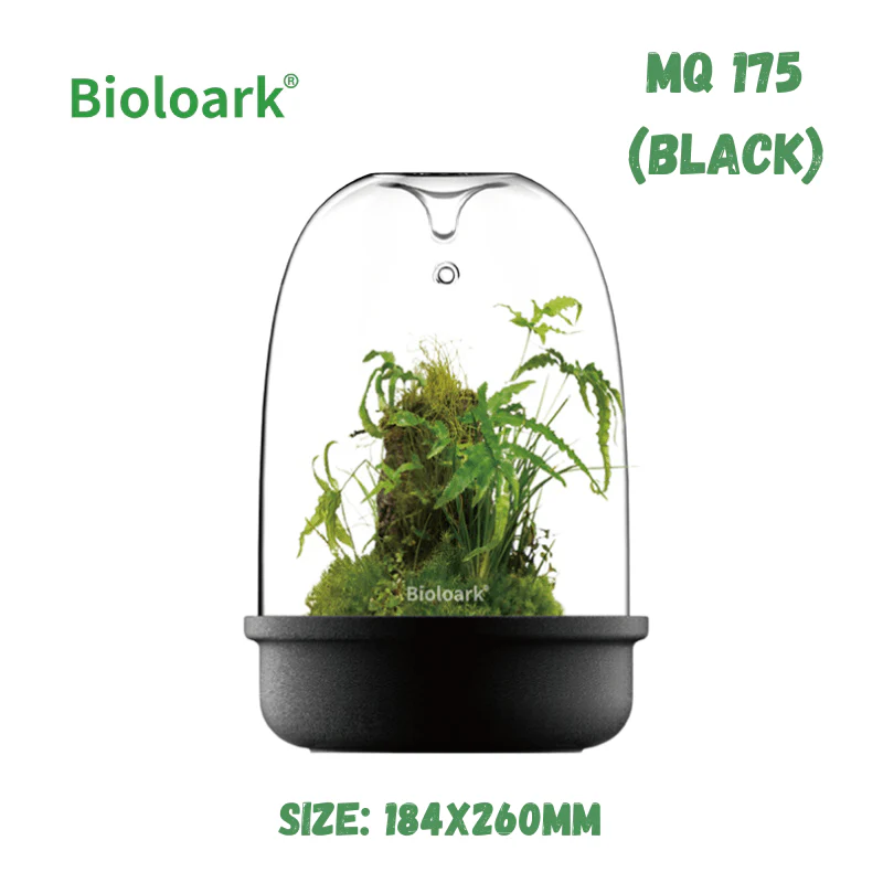 BIOLOARK - Bio Bottle Terrarium (MQ-150/175) (Black/White) - Image 5