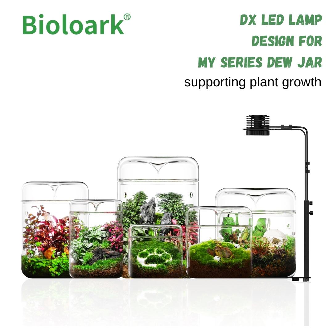 BIOLOARK Wabi Kusa Led lamp (DX series) - Image 3