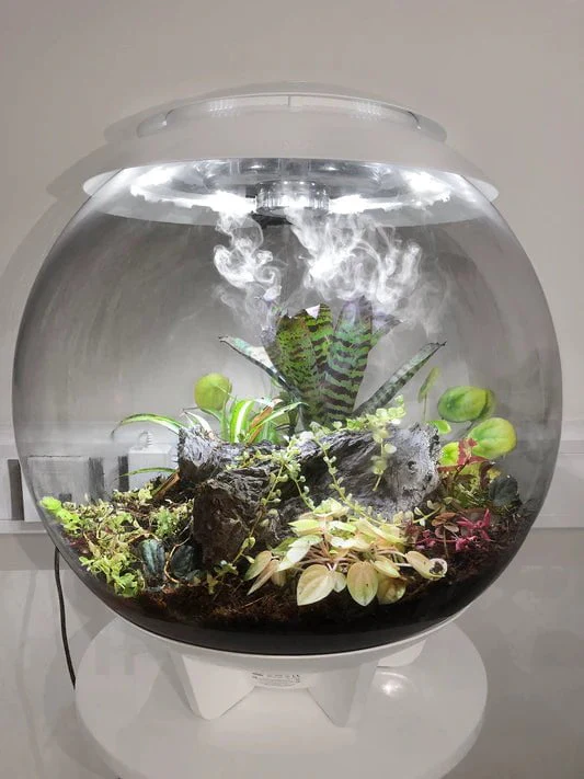 BiOrb Air 60 (Terrarium all in one with misting) - Image 3
