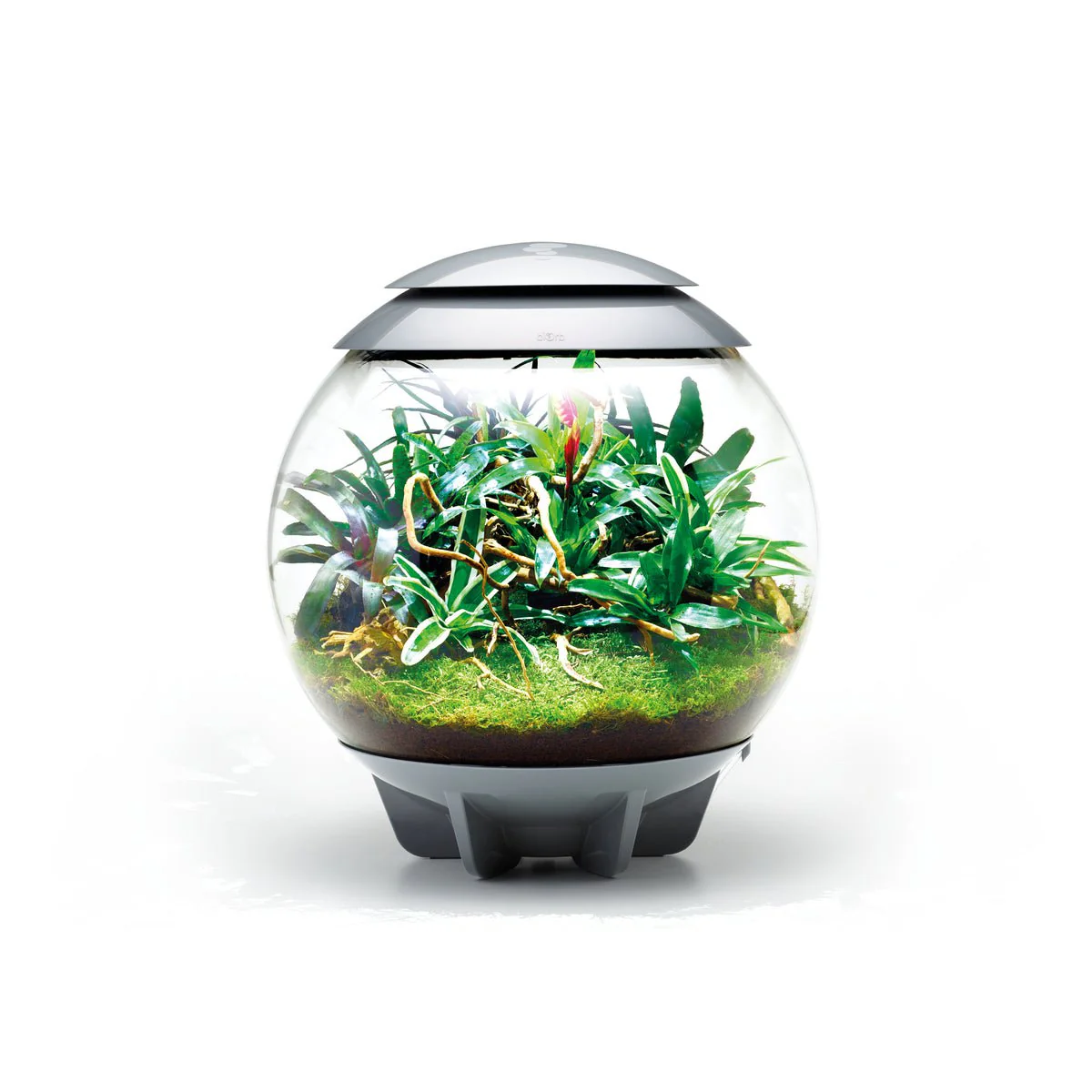 BiOrb Air 60 (Terrarium all in one with misting) - Image 4