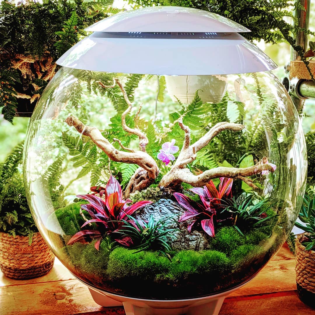 BiOrb Air 60 (Terrarium all in one with misting) - Image 5