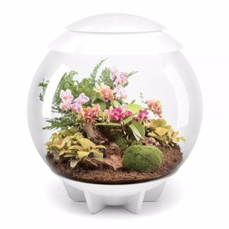BiOrb Air 60 (Terrarium all in one with misting) - Image 6