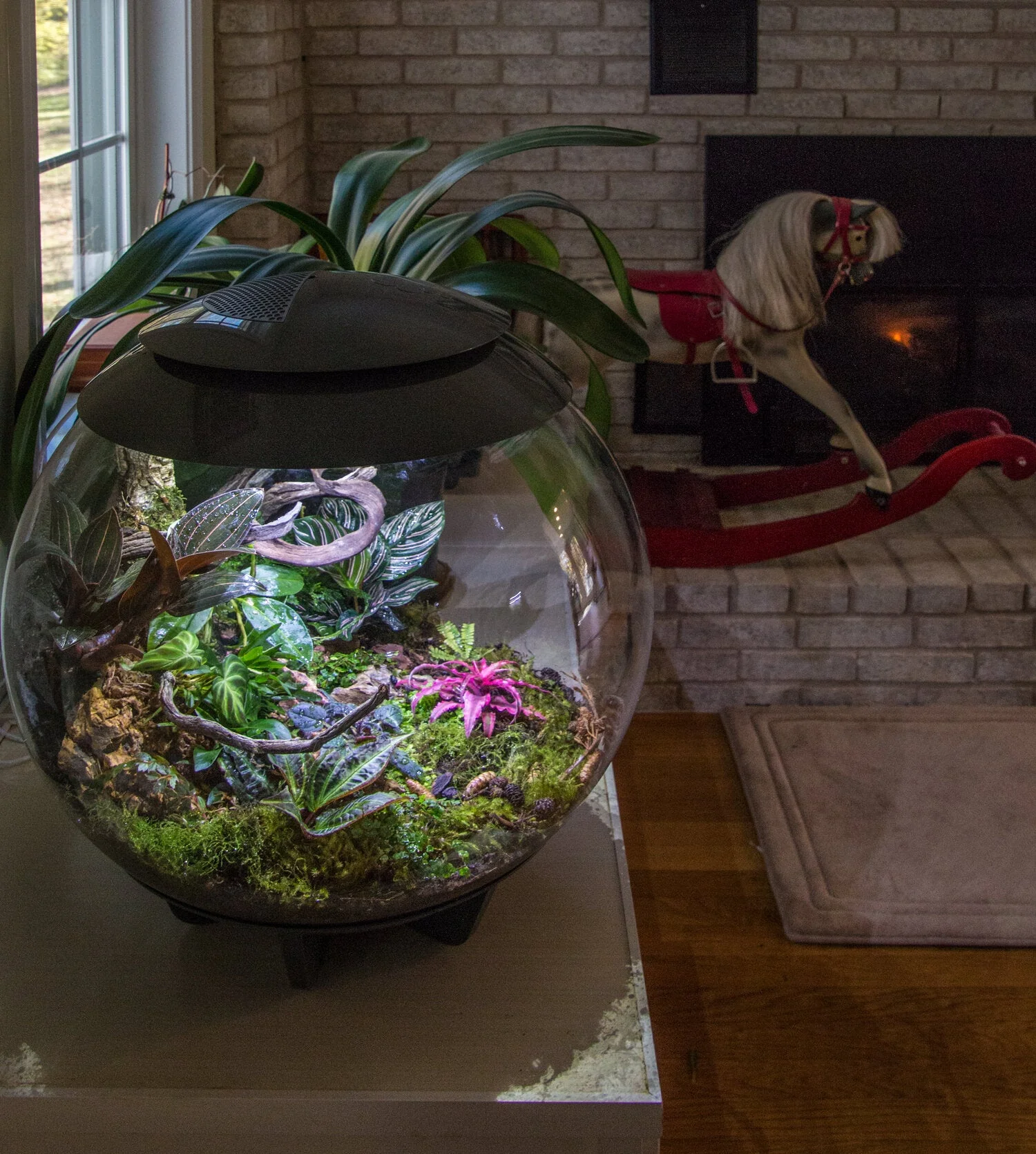 BiOrb Air 60 (Terrarium all in one with misting) - Image 7