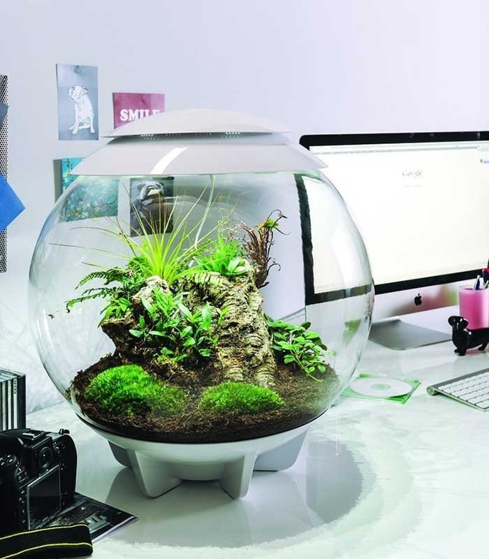 BiOrb Air 60 (Terrarium all in one with misting) - Image 8