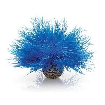 biOrb Aquatic Sea Lily - Image 3