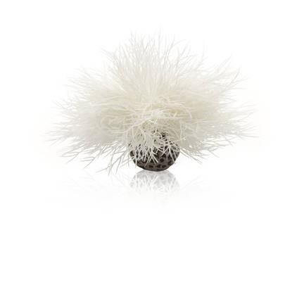 biOrb Aquatic Sea Lily - Image 6
