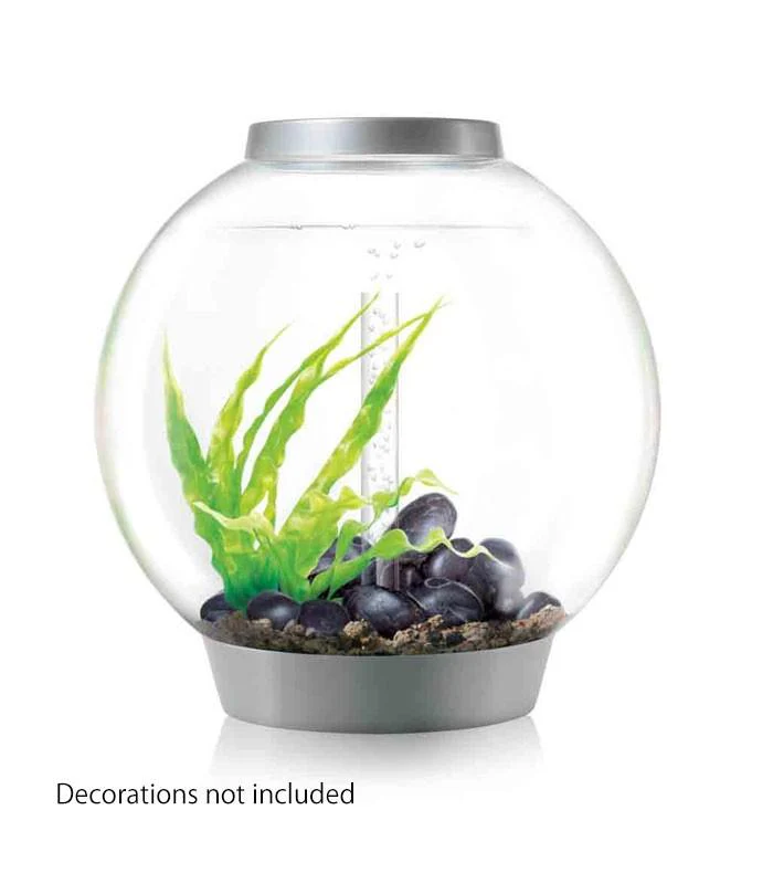 biOrb CLASSIC 15 Aquarium (MCR - Multi-Color Remote) - Image 3