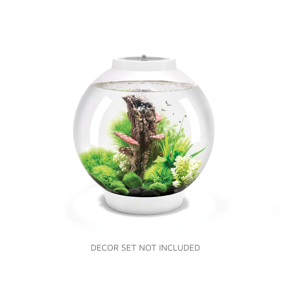 biOrb CLASSIC 30 Aquarium (White LED Light) - Image 2