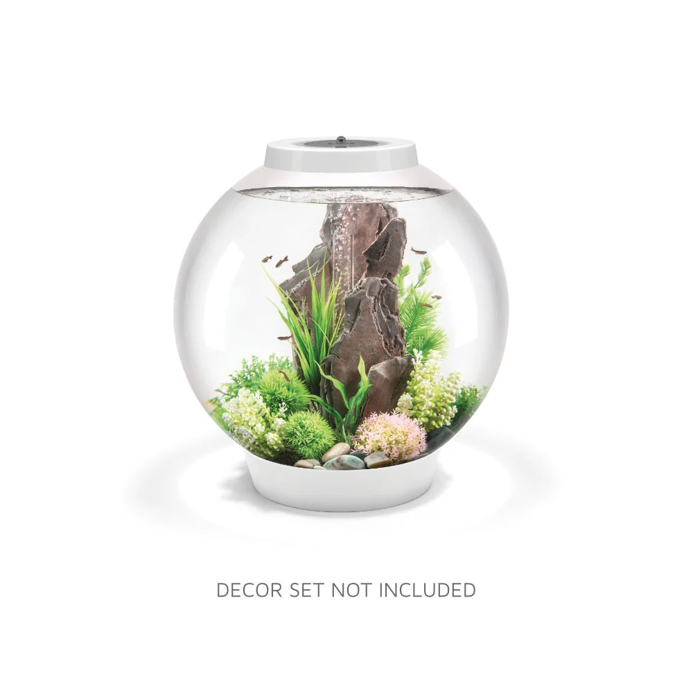 biOrb CLASSIC 60 Aquarium (MCR - Multi-Color Remote) - Image 2