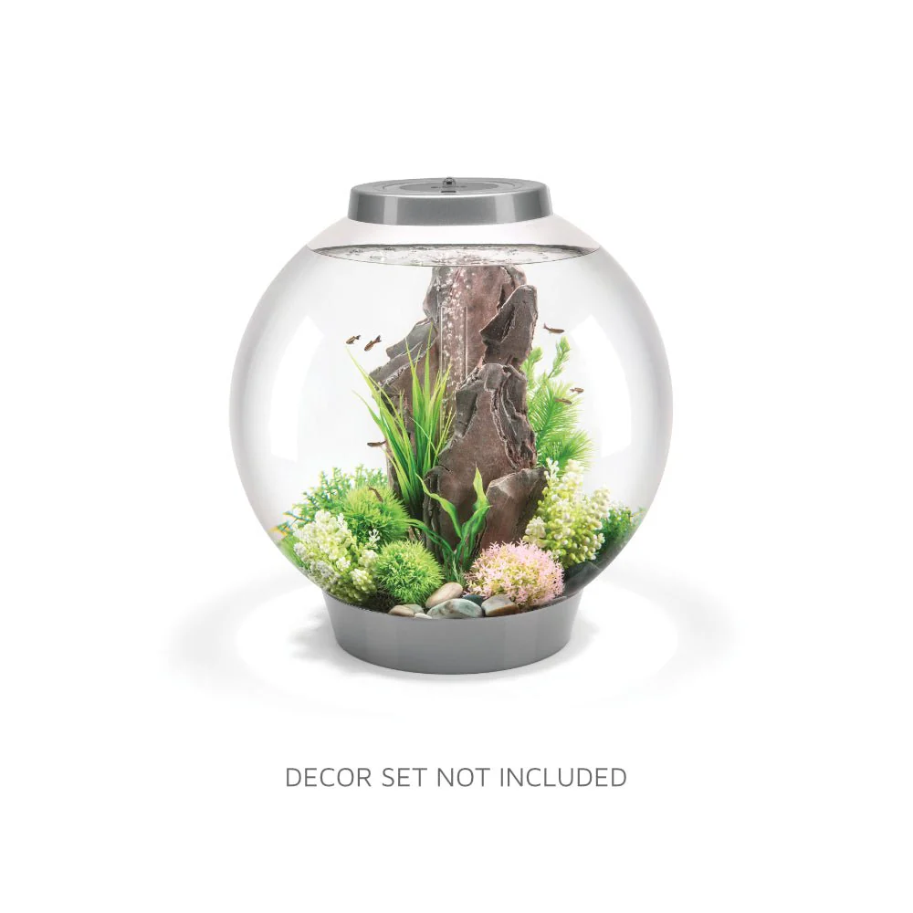 biOrb CLASSIC 60 Aquarium (MCR - Multi-Color Remote) - Image 3